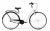 f4309b11ccac51855b4d0ec12d5e3f3d.jpg