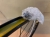 097d4baef83d605386f2bbc2ec6c7bf5.jpg