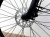 925ae69a96f1b92f82aec6c95260fdec.jpg