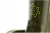 ce28cec91408f5cad2e89a54e48790d7.jpg